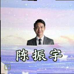 陈振宇